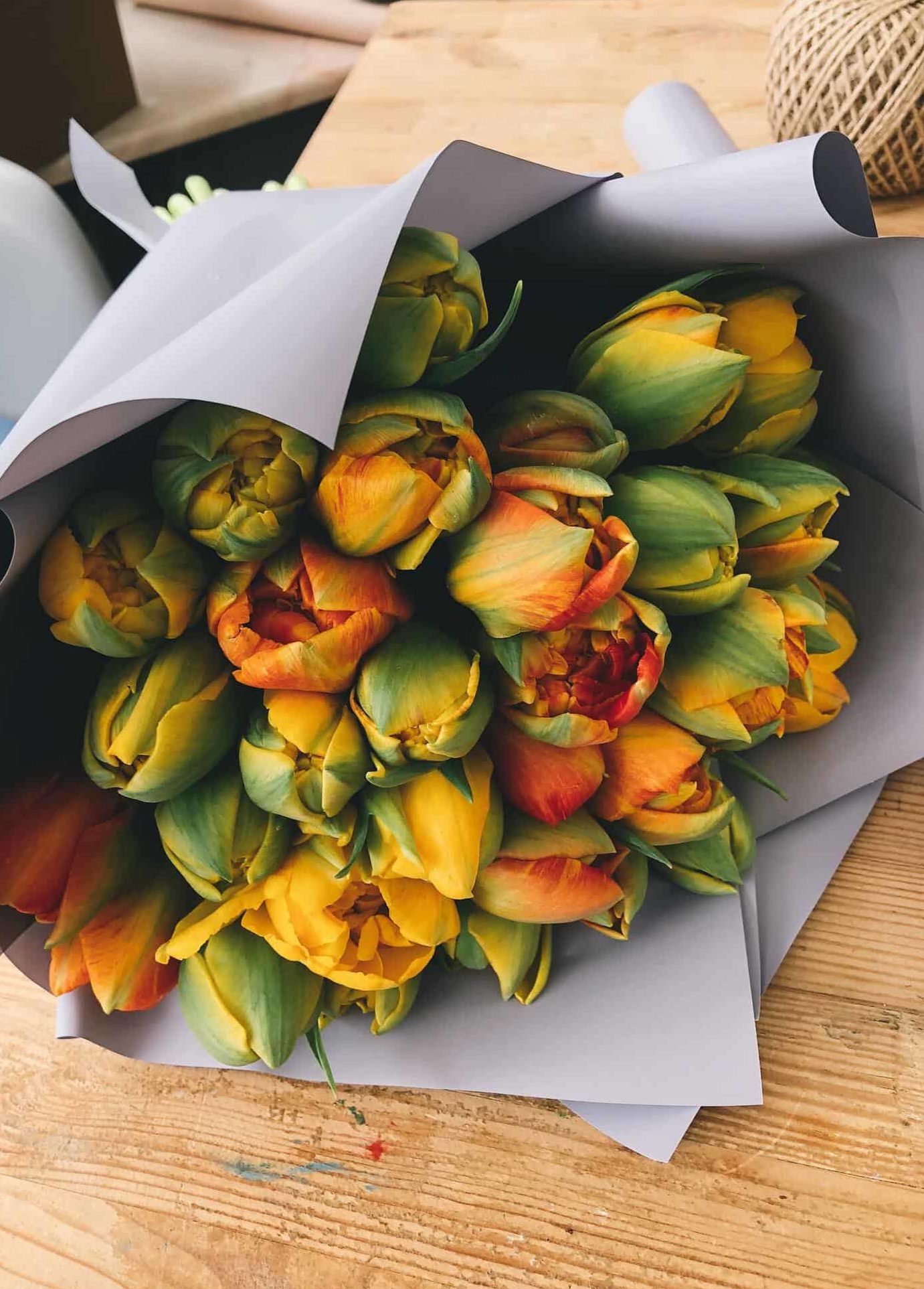 Tulip